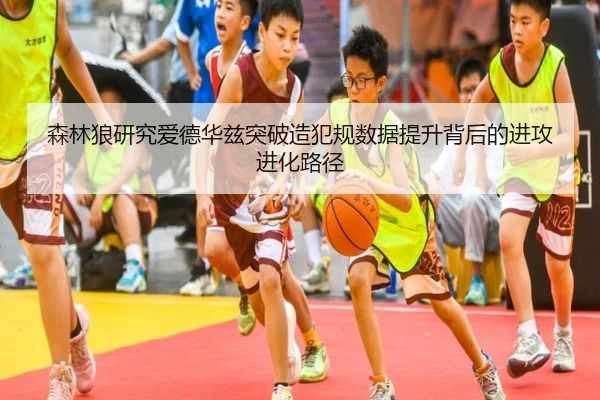 森林狼研究爱德华兹突破造犯规数据提升背后的进攻进化路径